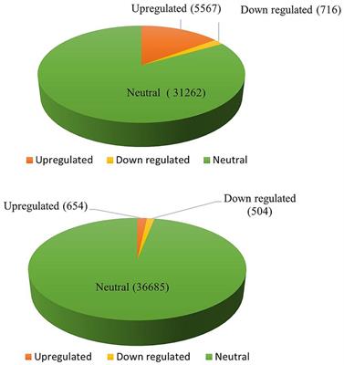 Transcriptome analysis of Bipolaris sorokiniana - Hordeum vulgare provides insights into mechanisms of host-pathogen interaction